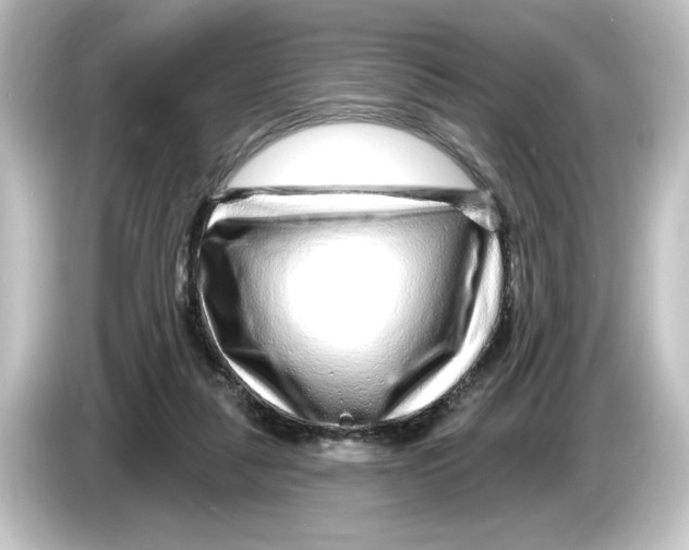 X0000084600259200703161823