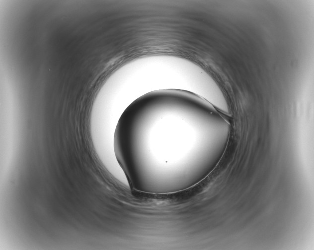 X0000084600260200703161823