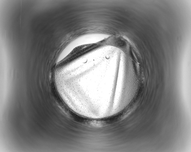 X0000084600261200703161823