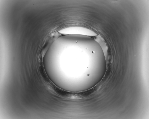 X0000084600264200703161823