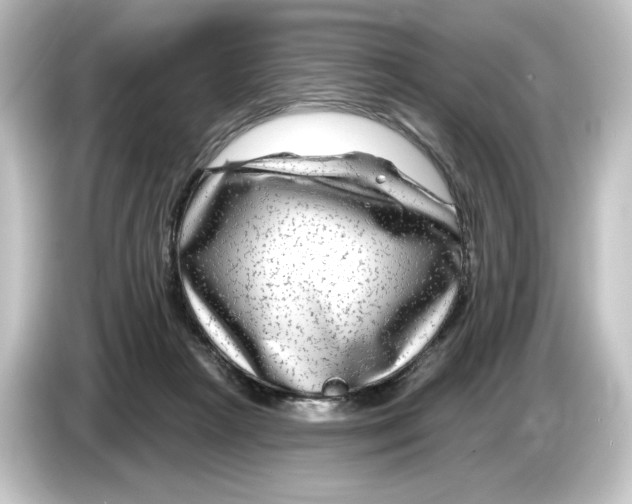 X0000084600265200703161823