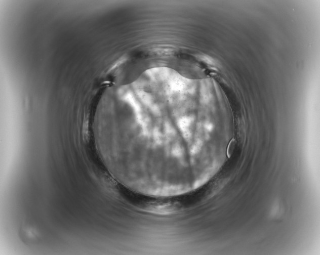 X0000084600267200703161824