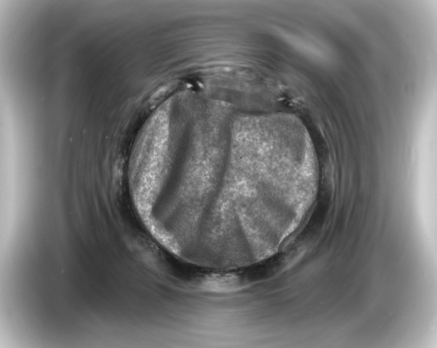 X0000084600271200703161824