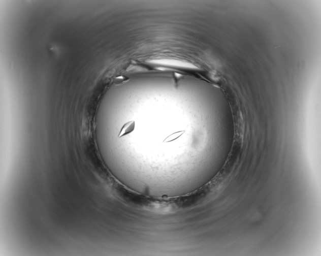 X0000084600272200703161824