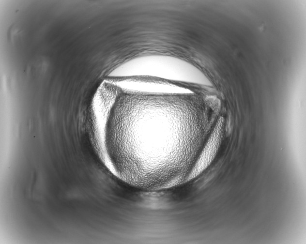 X0000084600273200703161824