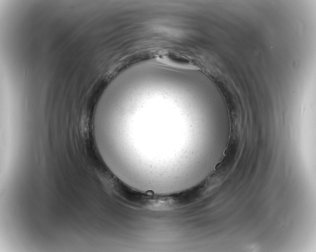 X0000084600274200703161824