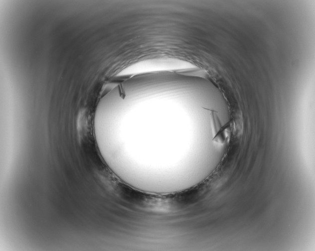 X0000084600276200703161824