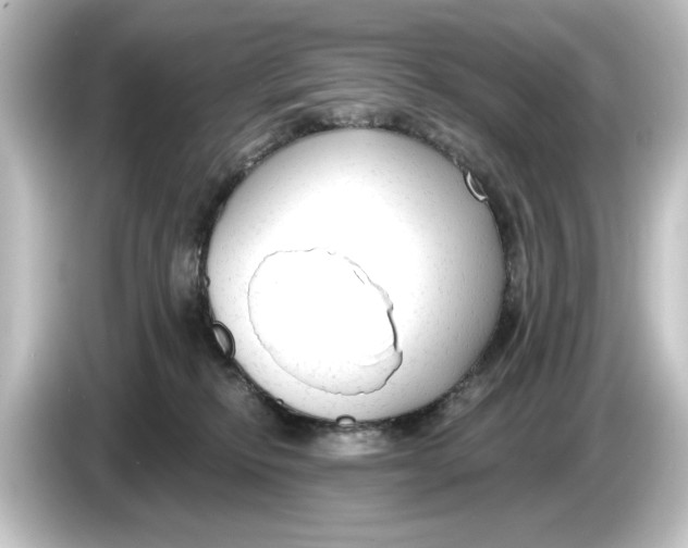 X0000084600278200703161824