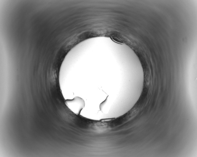 X0000084600279200703161824