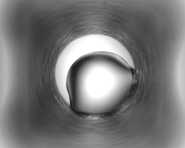 X0000084600280200703161824