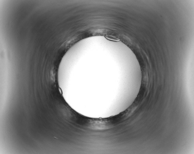 X0000084600282200703161824