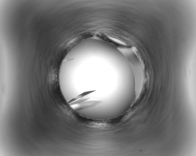 X0000084600284200703161824