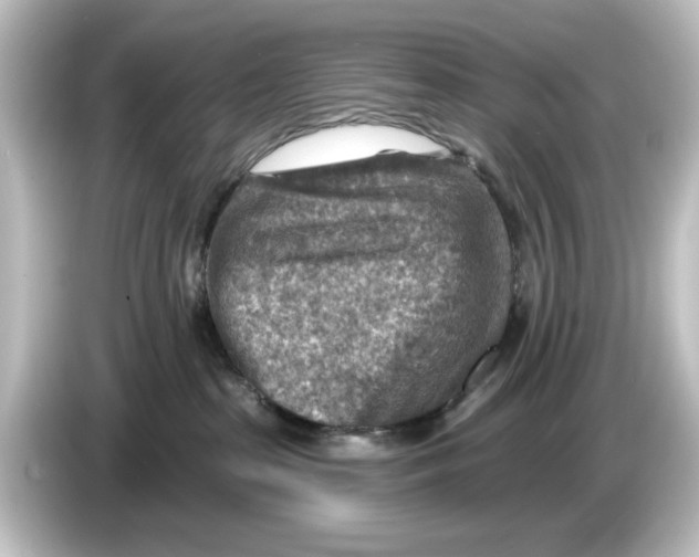 X0000084600285200703161824