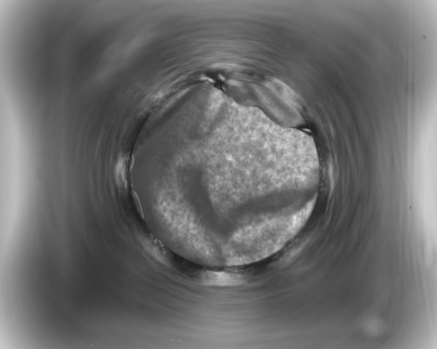 X0000084600286200703161824