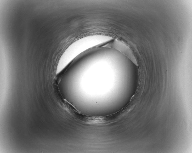 X0000084600288200703161824