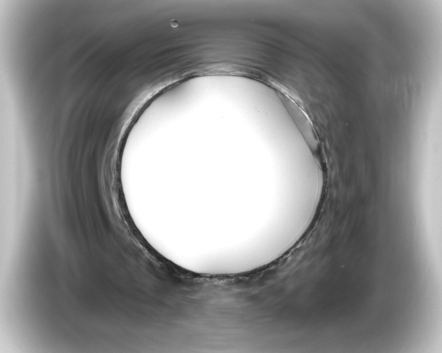 X0000084600289200703161823