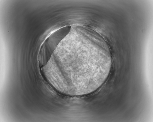 X0000084600290200703161823