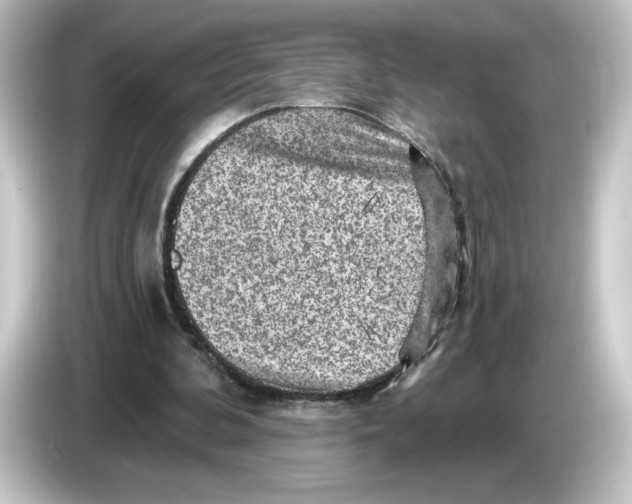 X0000084600292200703161823