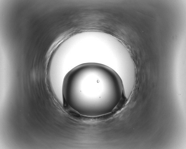 X0000084600293200703161823