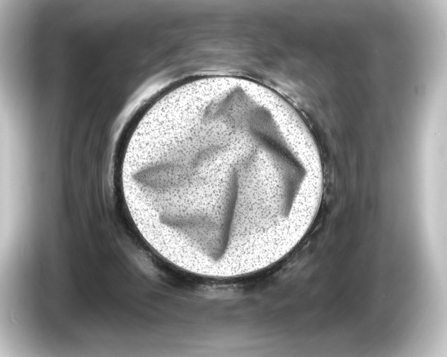 X0000084600296200703161823