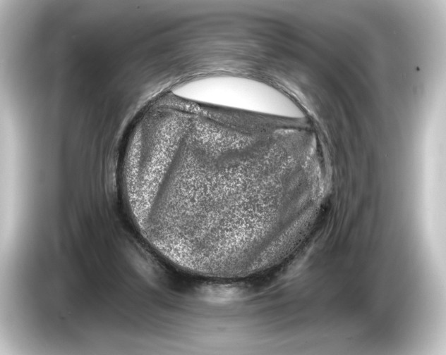 X0000084600299200703161823