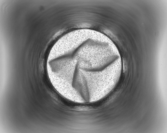 X0000084600300200703161823