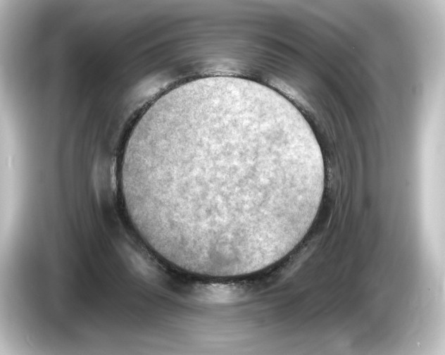 X0000084600302200703161823