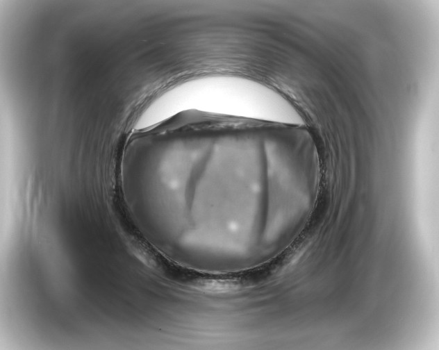 X0000084600303200703161823