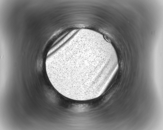 X0000084600304200703161823