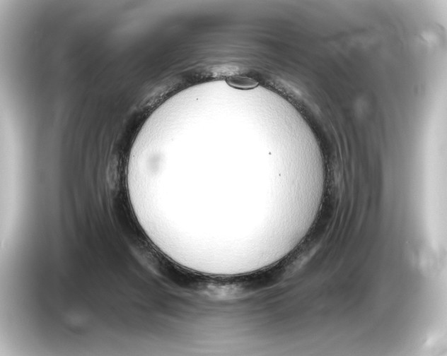 X0000084600311200703161823