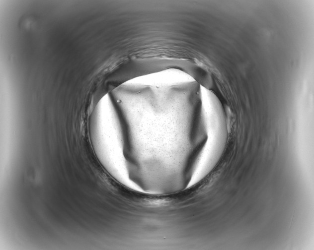 X0000084600313200703161823