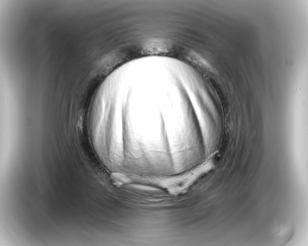 X0000084600315200703161823