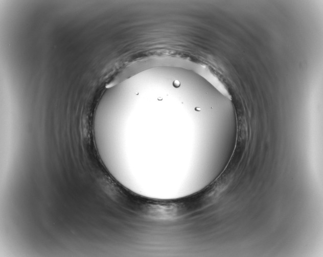 X0000084600317200703161823