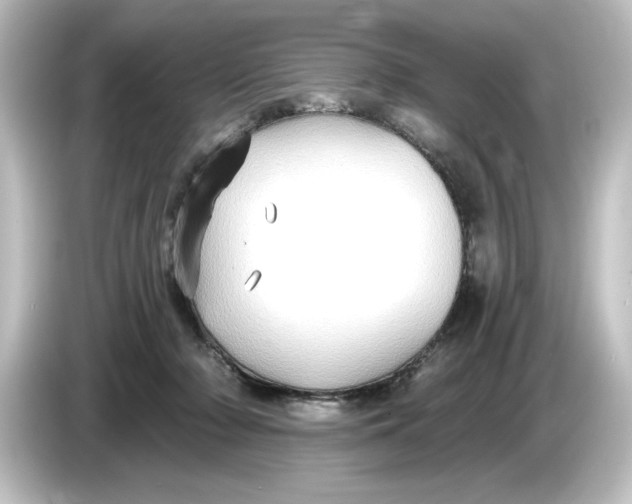 X0000084600318200703161823