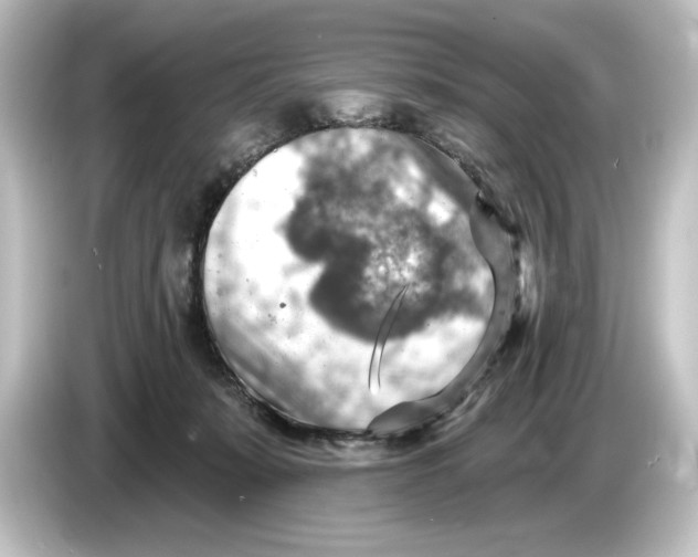 X0000084600319200703161823