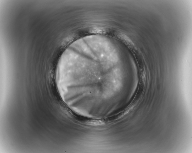 X0000084600322200703161823