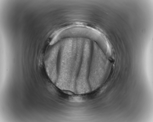 X0000084600325200703161823