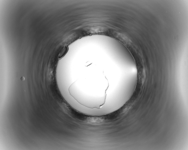 X0000084600327200703161823