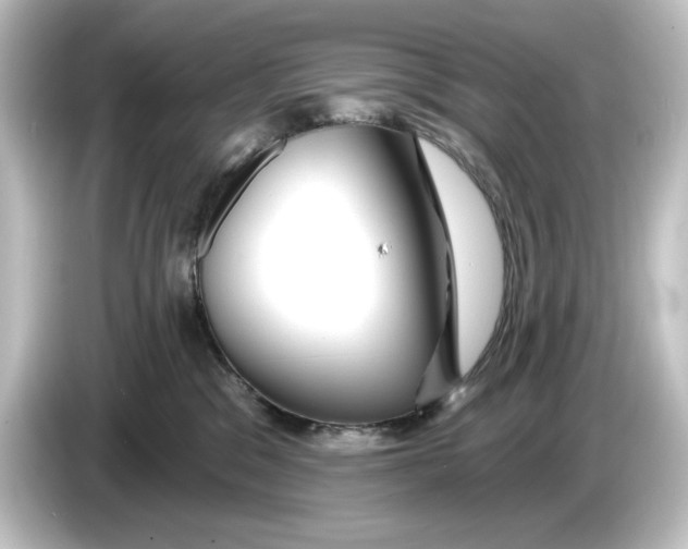 X0000084600329200703161823