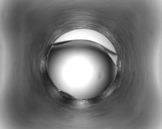 X0000084600333200703161823