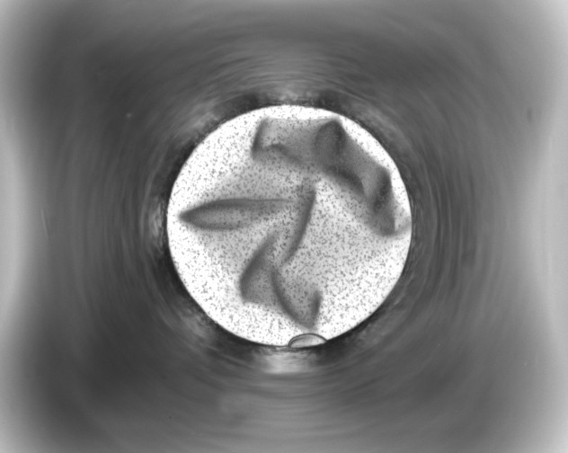 X0000084600336200703161823