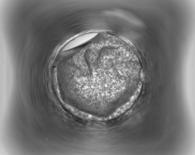 X0000084600337200703161822