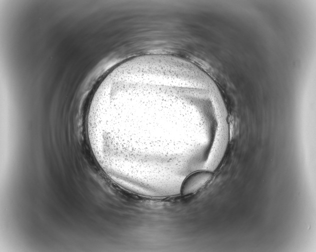 X0000084600339200703161822