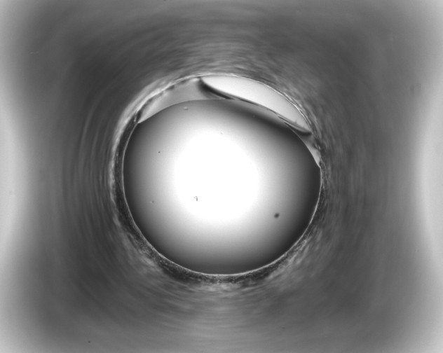 X0000084600340200703161822