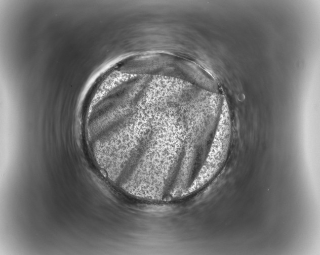 X0000084600342200703161822