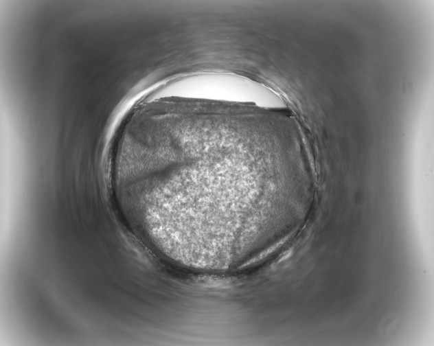 X0000084600343200703161822