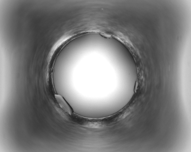 X0000084600344200703161822