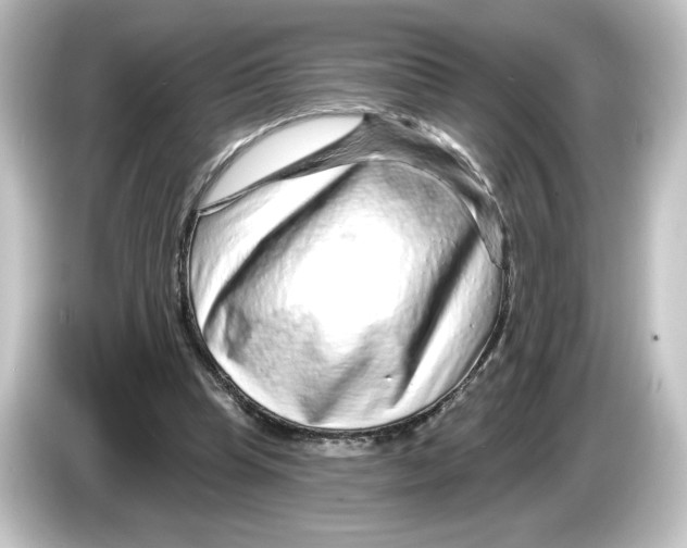 X0000084600345200703161822