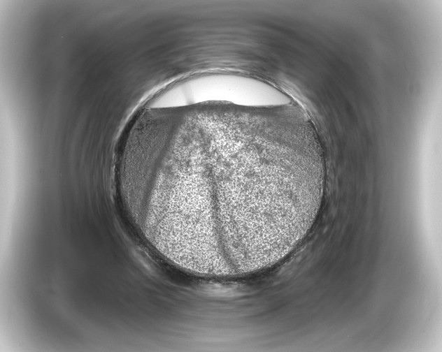 X0000084600346200703161822