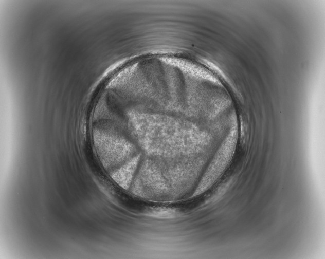 X0000084600348200703161822